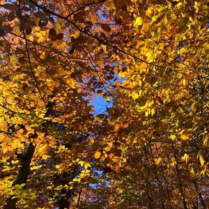 Meet your Posher, Ekaterina